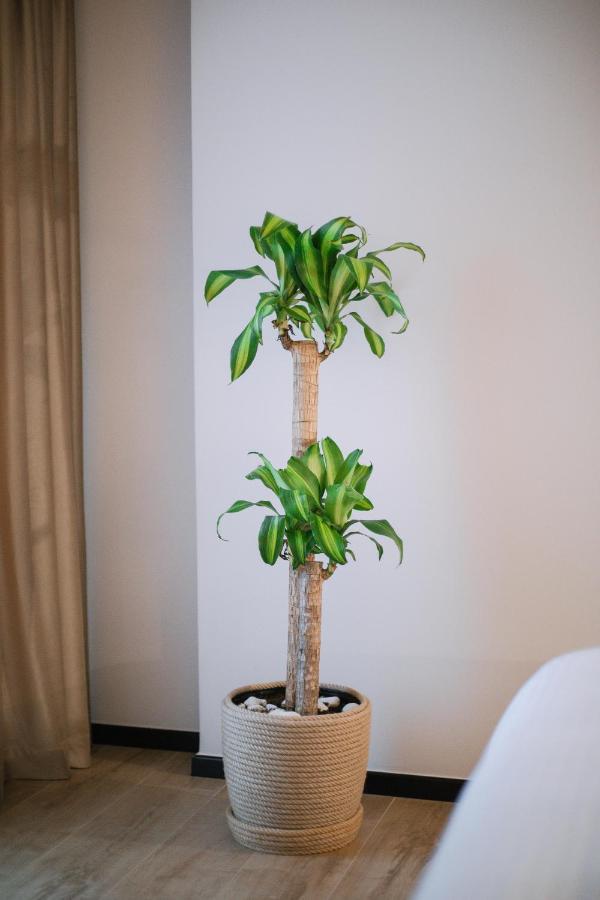 Boulevard Boutique Aparthotel Корча Екстериор снимка